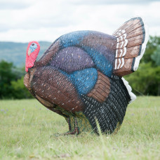 Wildcrete Turkey